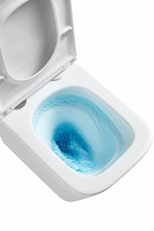 Подвесной унитаз безободковый Terminus Ватикан Monolit 490х340 белый Азов - фото 8