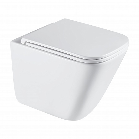 Подвесной унитаз безободковый Terminus Ватикан Monolit 490х340 белый Азов - фото 2