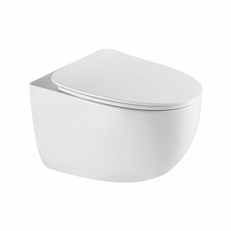 Подвесной унитаз безободковый Terminus Енисей Monolit 560х390 белый Азов - фото 2