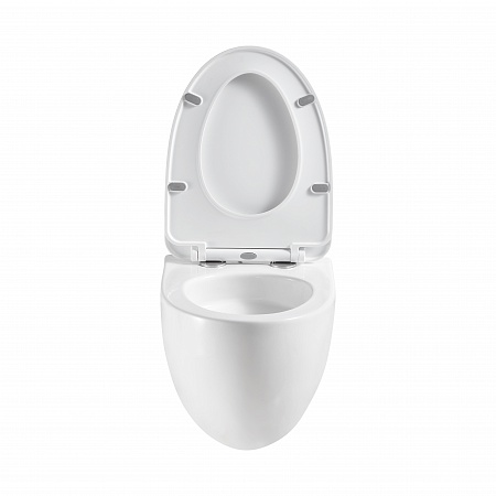 Подвесной унитаз безободковый Terminus Енисей Monolit 560х390 белый Азов - фото 5