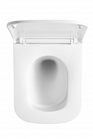 Подвесной унитаз безободковый Terminus Ватикан Monolit 490х340 белый Азов - фото 3